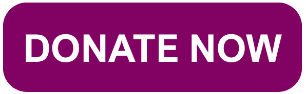 Button that states "Donate Now"
